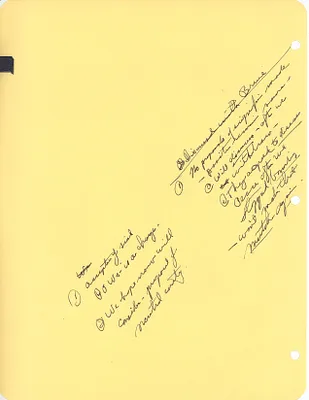 p. 20