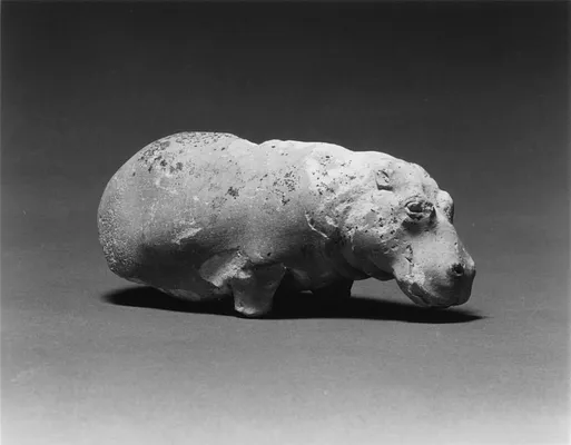 Hippopotamus
