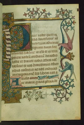 p. 5