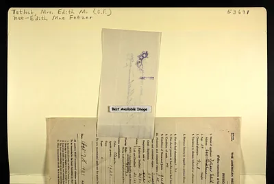 p. 38