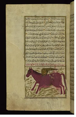 King Solomon’s Horse