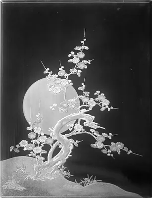 Blossoming plum tree/moon