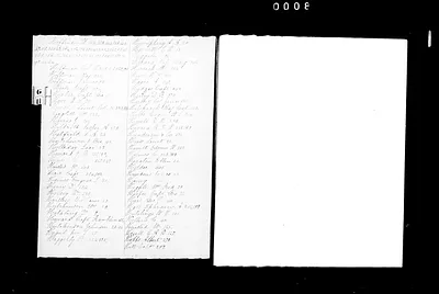 p. 30