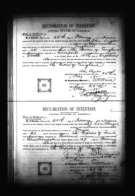 p. 49