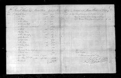 p. 31