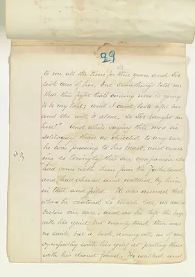 p. 33