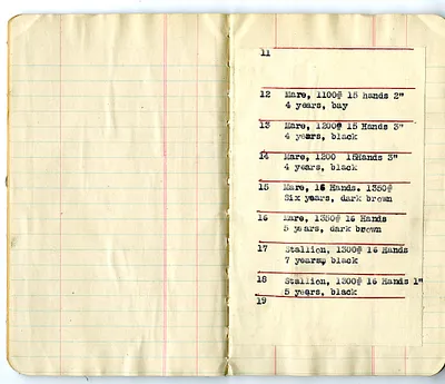 p. 3