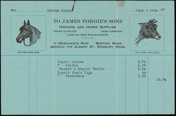 Invoice from James Forgie's Sons for George Knapp, June 4, 1920