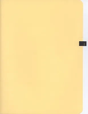 p. 21