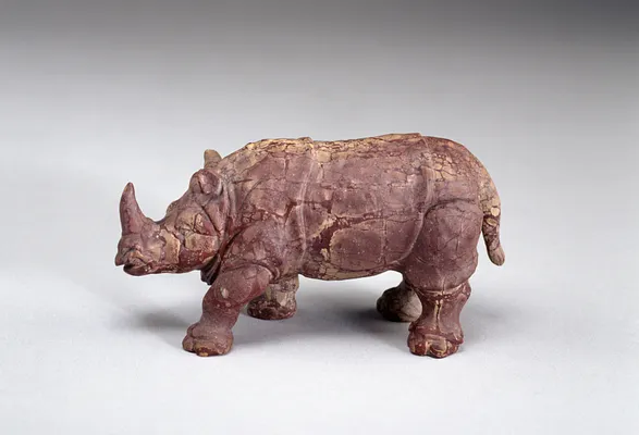 Rhinoceros