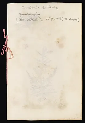p. 16