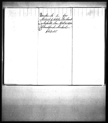p. 7