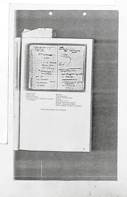 Oswald's Notebook