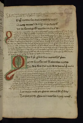 Initial ""Q""