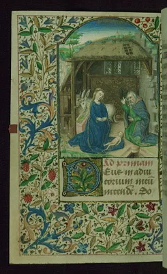 p. 8