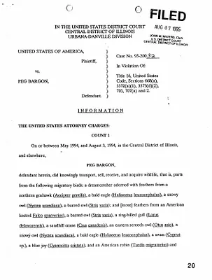 p. 45