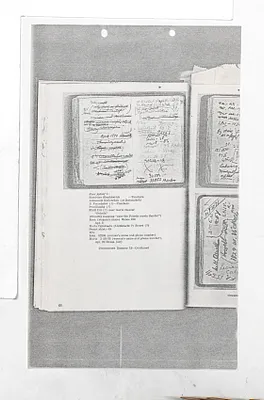 p. 33
