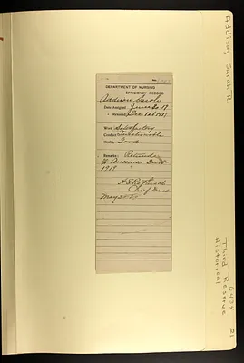 p. 8