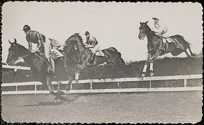 Horse race in acation [i.e. action]