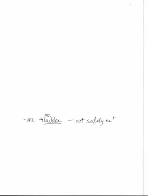 p. 52
