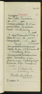 p. 19