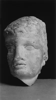 Male Head