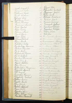 p. 16