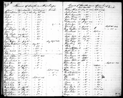 p. 43
