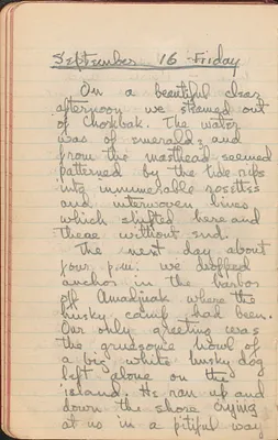 p. 43