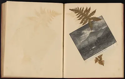 p. 52
