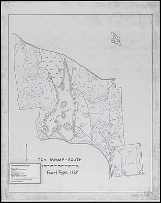 Tom Swamp South forest types 1923