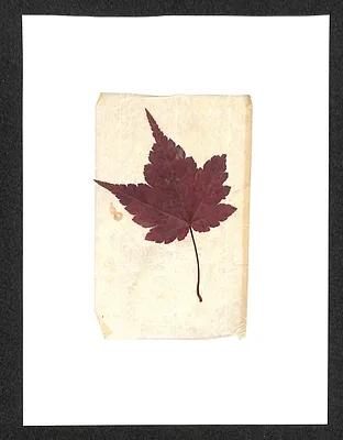 p. 12