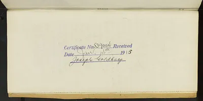 p. 10