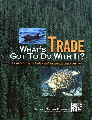 p. 24