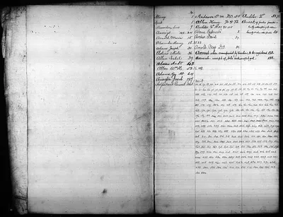 p. 4