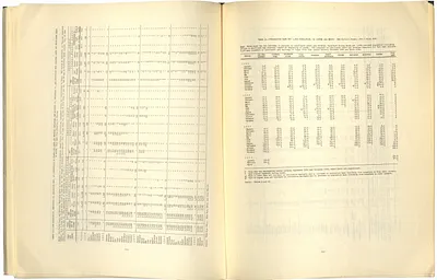 p. 29