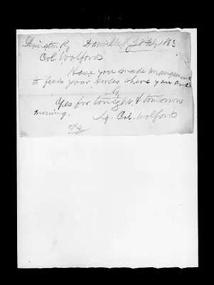 p. 41