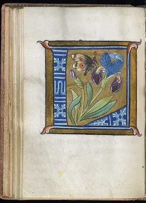 p. 1