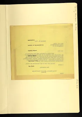 p. 31