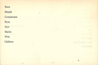 p. 19