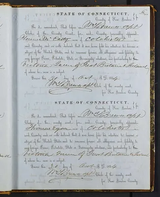 p. 31