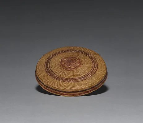 Lid for Bowl