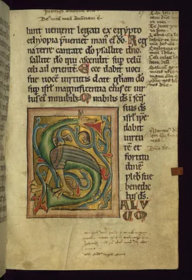 Initial ""S"" with dragon