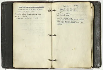 p. 16