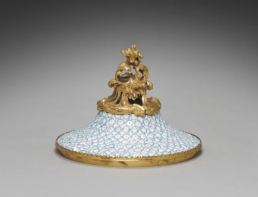 Cover for a Vase