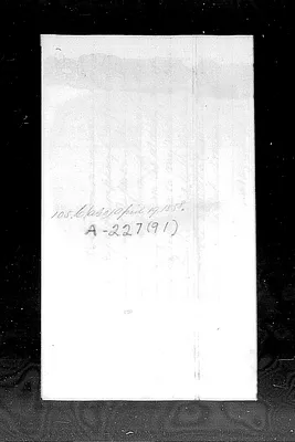 p. 29