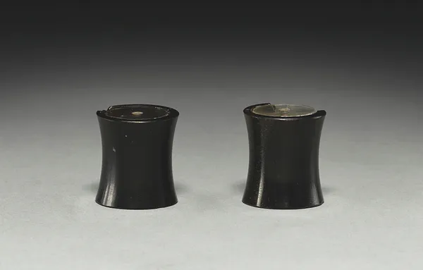 Pair of Ear Ornaments