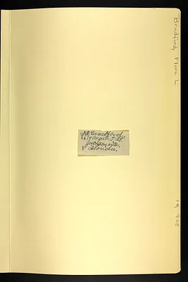 p. 8