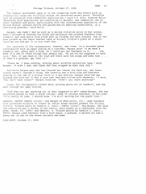 p. 8