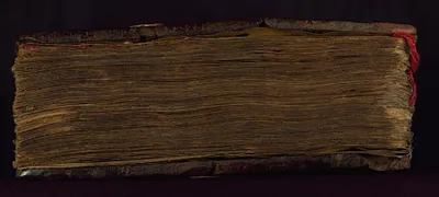 p. 7